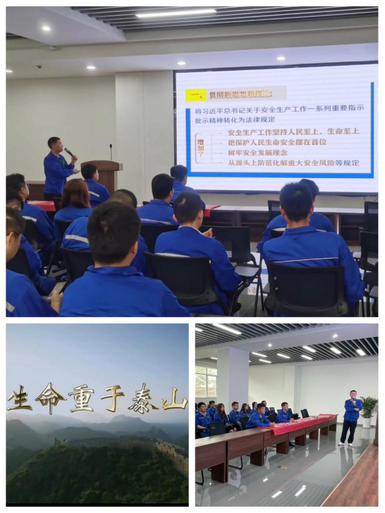 蓝月亮精选料兔费大全