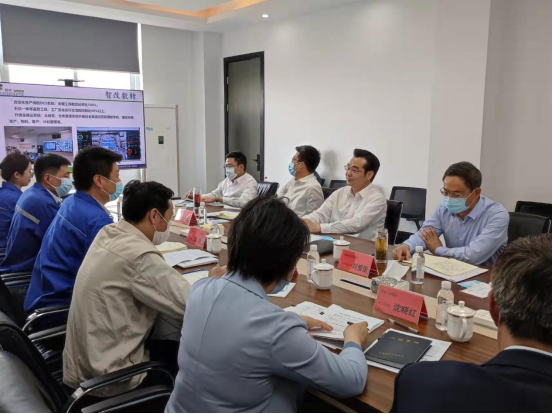 蓝月亮精选料兔费大全