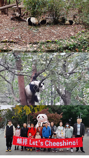 蓝月亮精选料兔费大全