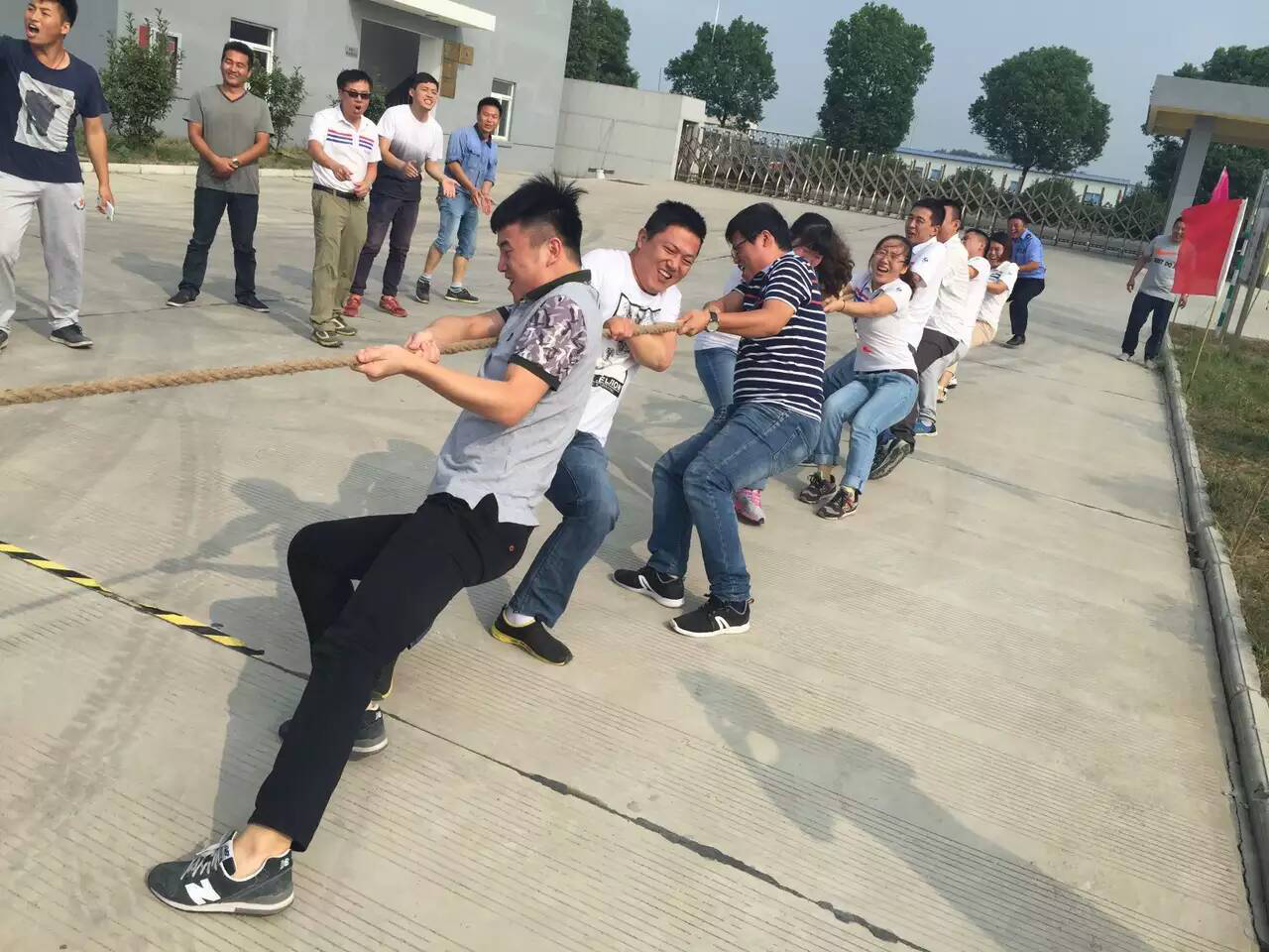 蓝月亮精选料兔费大全