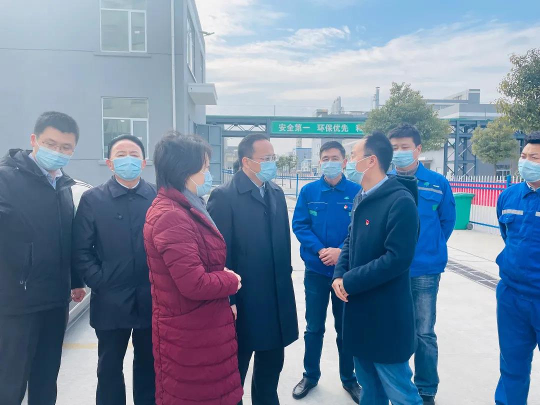 蓝月亮精选料兔费大全