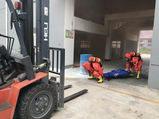 蓝月亮精选料兔费大全