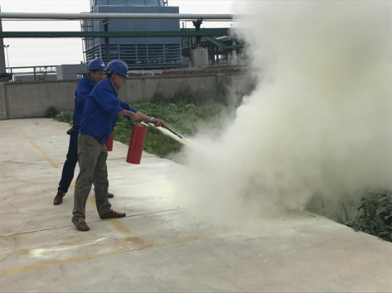 蓝月亮精选料兔费大全