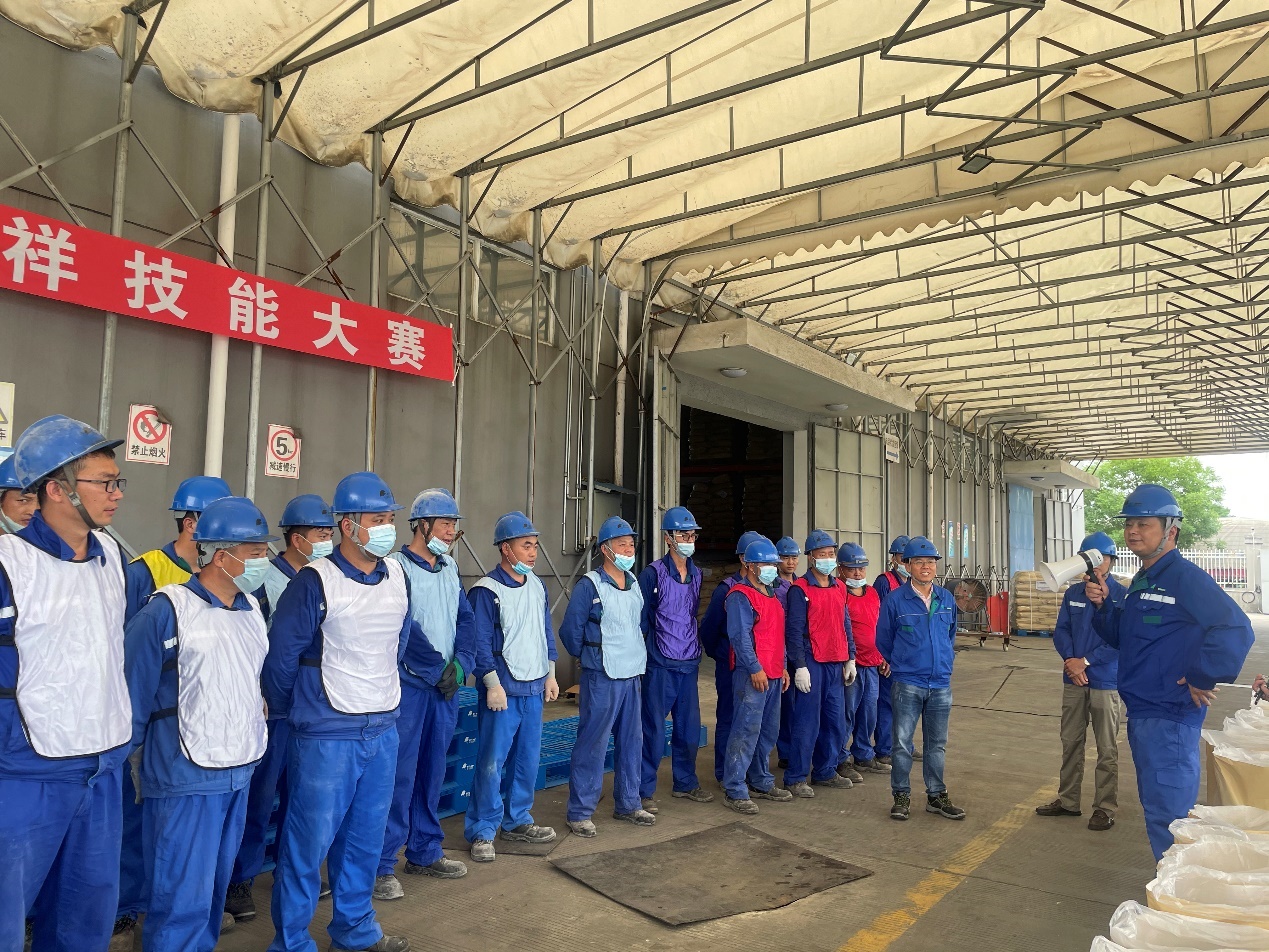 蓝月亮精选料兔费大全