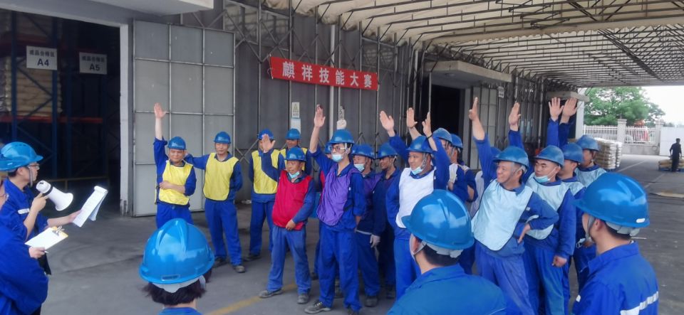 蓝月亮精选料兔费大全
