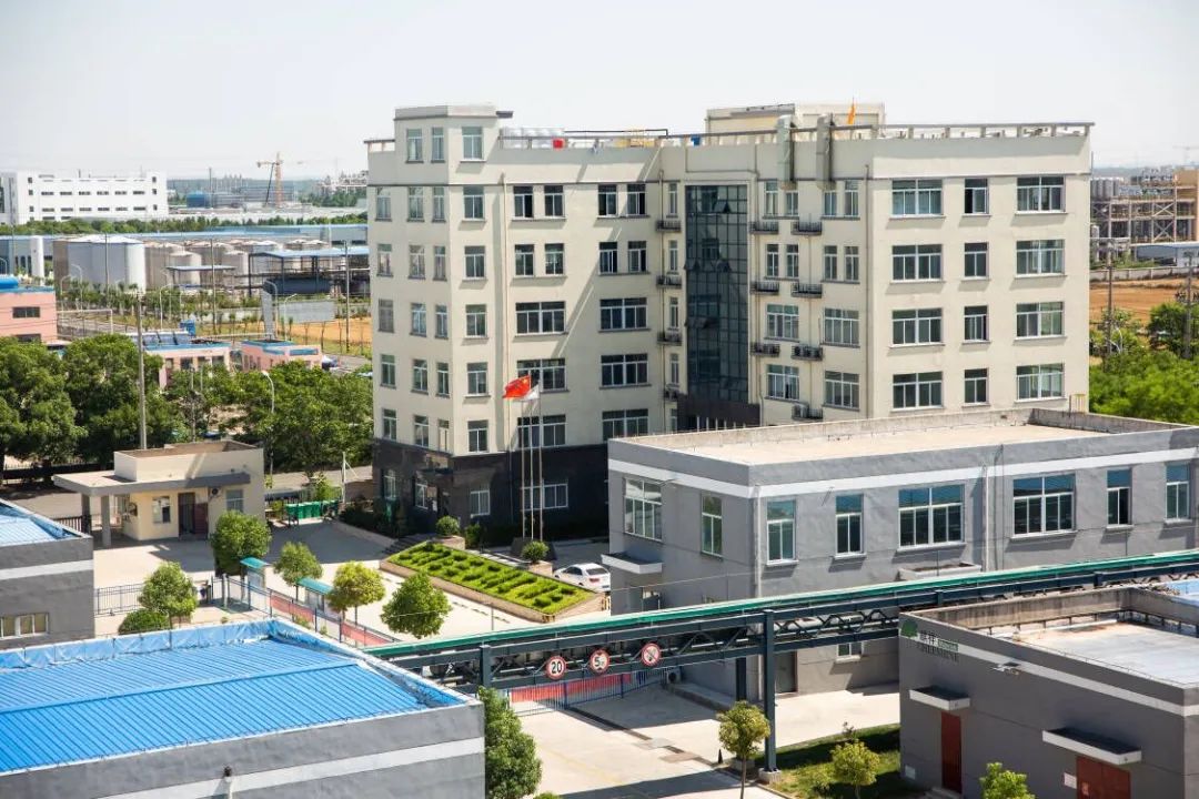 蓝月亮精选料兔费大全
