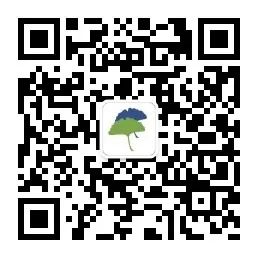 蓝月亮精选料兔费大全