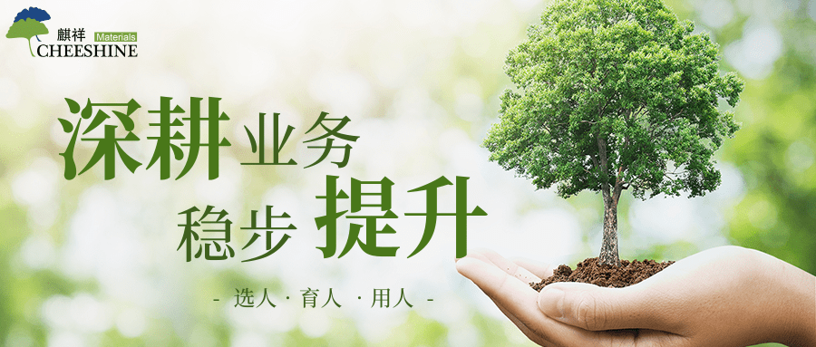 蓝月亮精选料兔费大全