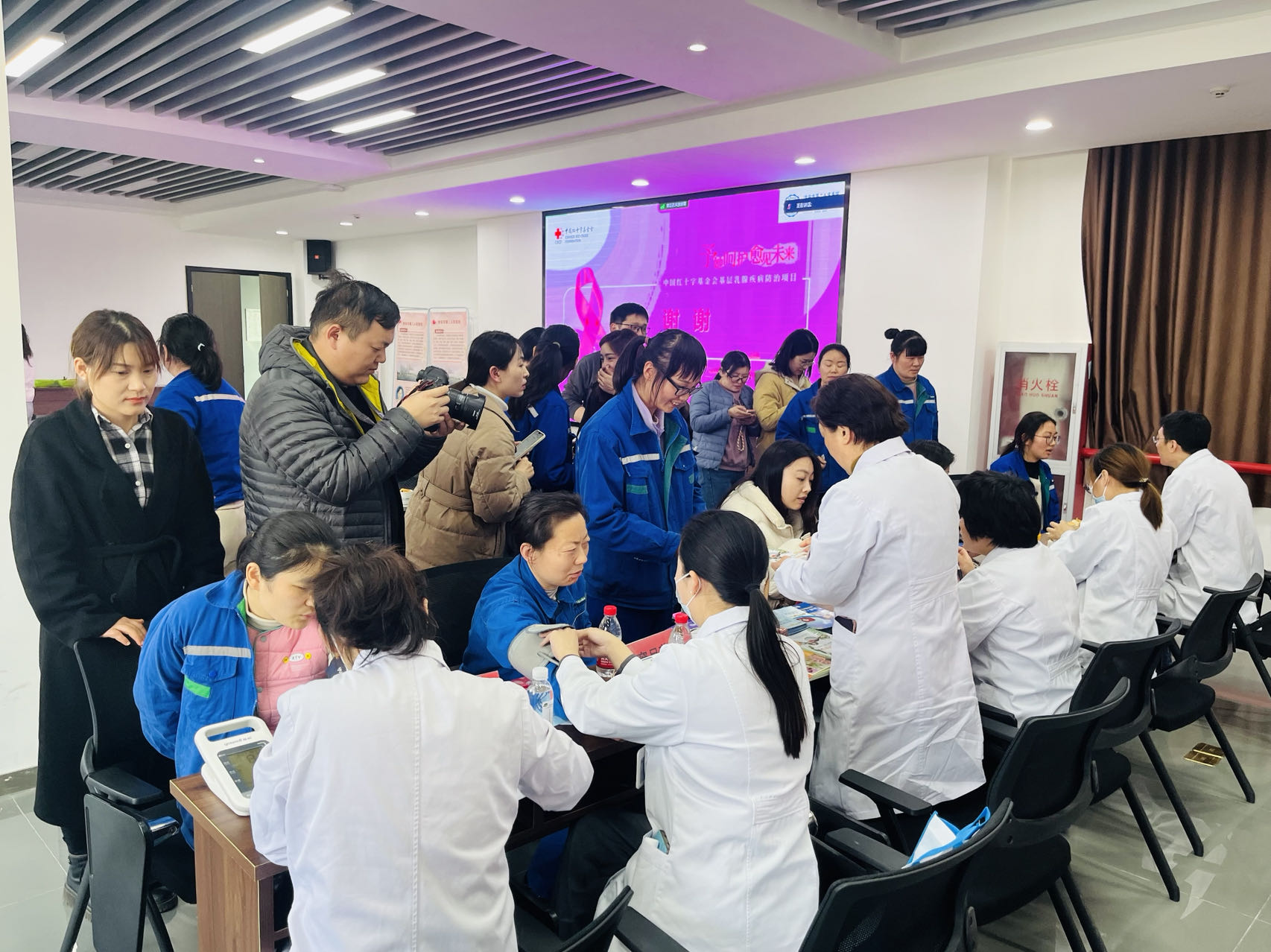 蓝月亮精选料兔费大全